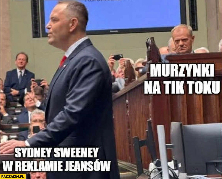 
    Sydney Sweeney w reklamie jeansów vs murzynki na tik toku Tusk patrzy na Nawrockiego w sejmie