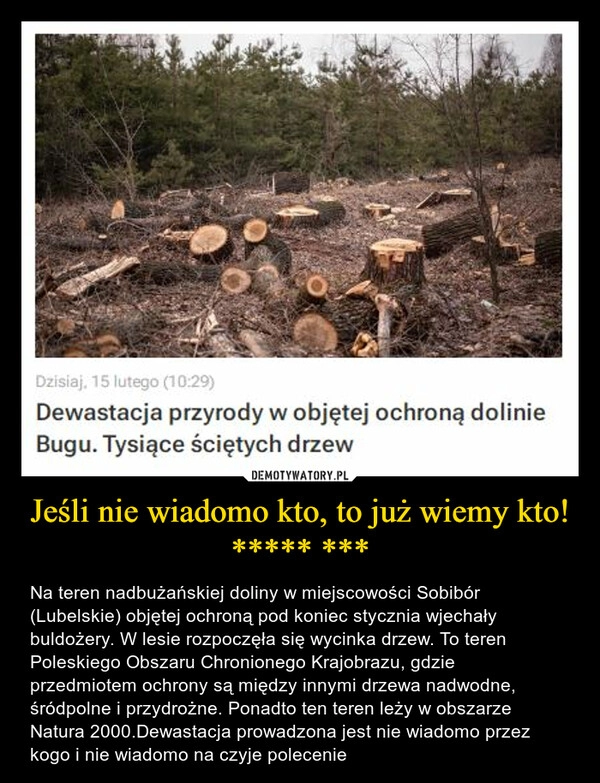 
    Jeśli nie wiadomo kto, to już wiemy kto! ***** ***