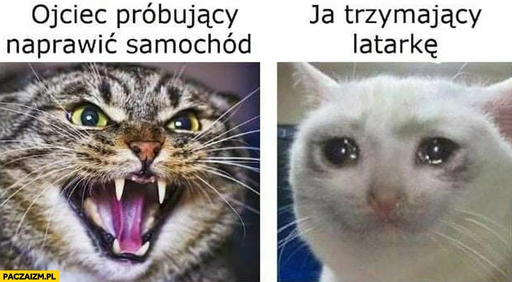 
    Ojciec próbujący naprawić samochód ja trzymający latarkę kot koty