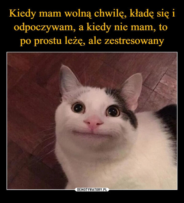 
    Kiedy mam wolną chwilę, kładę się i odpoczywam, a kiedy nie mam, to 
po prostu leżę, ale zestresowany