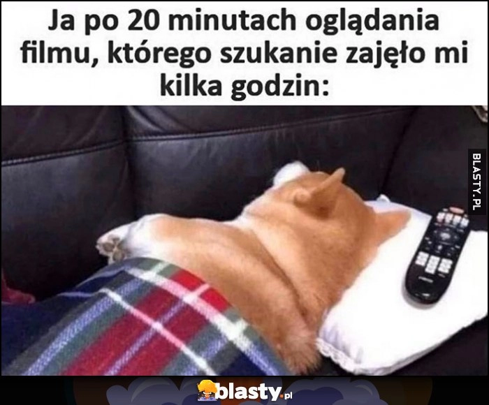 
    Ja po 20 minutach oglądania filmu, którego szukanie zajęło mi kilka godzin pies pieseł śpi