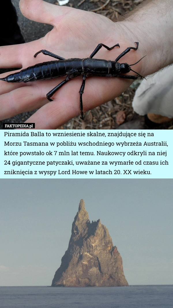 
    Piramida Balla to wzniesienie skalne, znajdujące się na Morzu Tasmana w