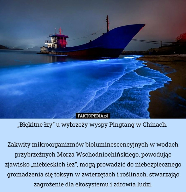 
    „Błękitne łzy” u wybrzeży wyspy Pingtang w Chinach. Zakwity mikroorganizmów...