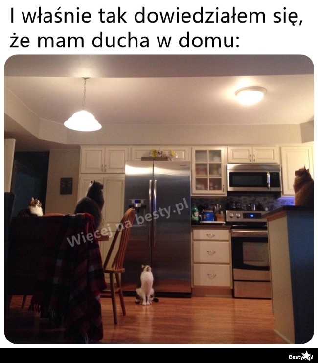 
    Duch w domu 