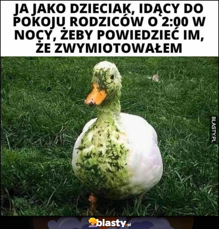 
    Ja jako dzieciak idący do pokoju rodziców o 2 w nocy, żeby powiedzieć im że zwymiotowałem kaczka kaczuszka