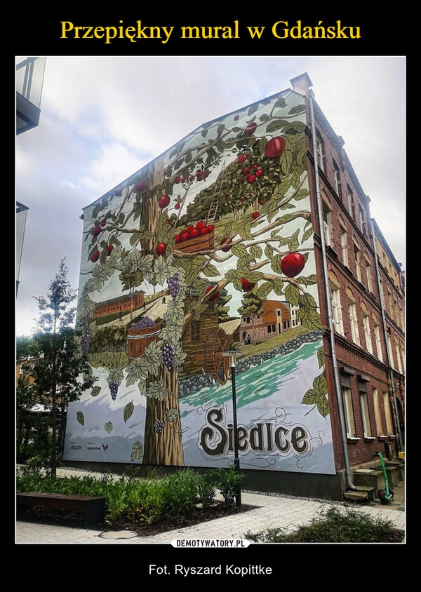 
    Przepiękny mural w Gdańsku