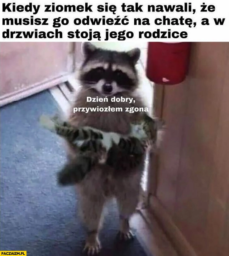 
    Szop kiedy ziomek tak się nawali, że musisz go odwieźć na chatę a w drzwiach swoja jego rodzice szop z kotem dzień dobry przywiozłem zgona