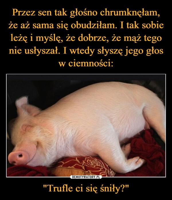 
    Przez sen tak głośno chrumknęłam, że aż sama się obudziłam. I tak sobie leżę i myślę, że dobrze, że mąż tego nie usłyszał. I wtedy słyszę jego głos w ciemności: "Trufle ci się śniły?"