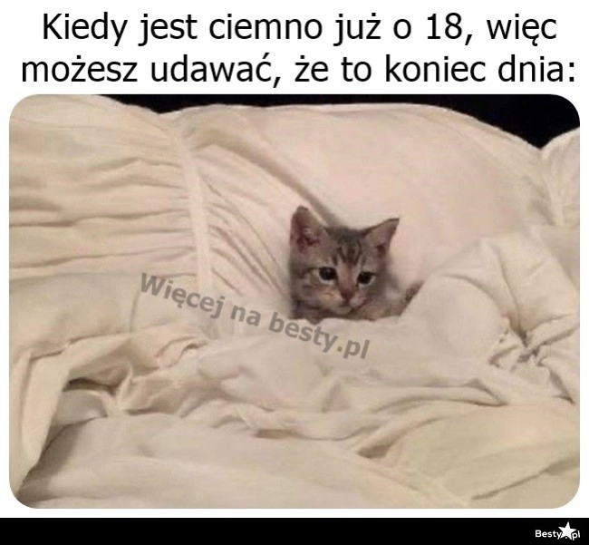 
    Koniec dnia 