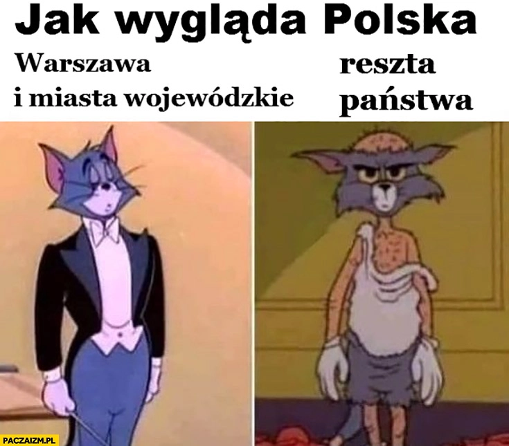 
    Jak wygląda Polska: Warszawa i inne miasta wojewódzkie vs reszta kraju państwa kot Tom i Jerry