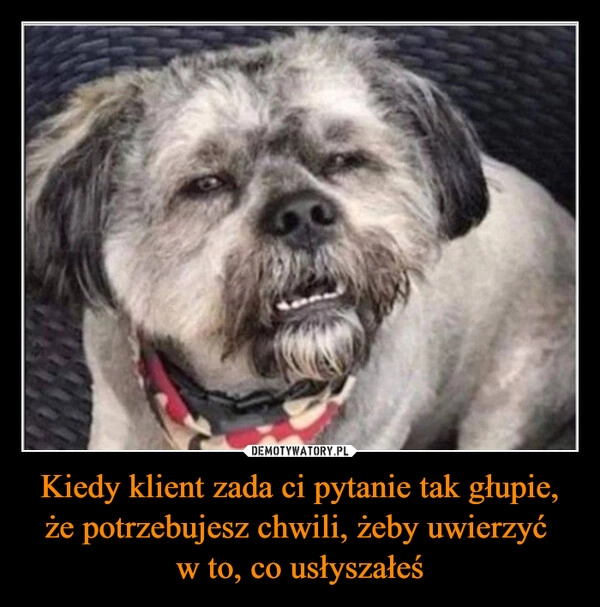 
    Kiedy klient zada ci pytanie tak głupie, że potrzebujesz chwili, żeby uwierzyć 
w to, co usłyszałeś