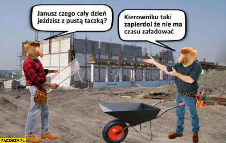 Janusz czego cały dzień jeździsz z pustą taczką? Kierowniku taki zapierdziel, że nie ma czasu załadować
