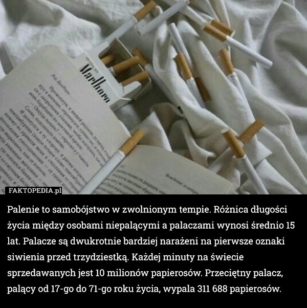 
    Palenie to samobójstwo w zwolnionym tempie. Różnica długości życia między