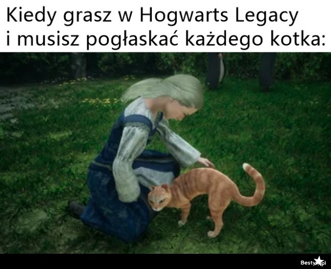 
    Kociarze i Hogwarts Legacy 