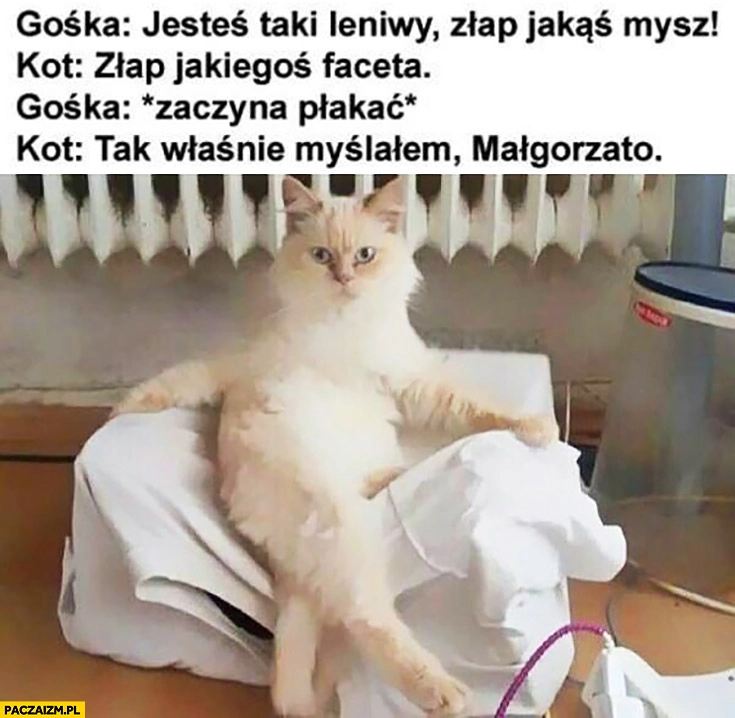 
    Złap jakąś mysz, kot do niej: złap jakiegoś faceta, zaczyna płakać, tak właśnie myślałem Małgorzato