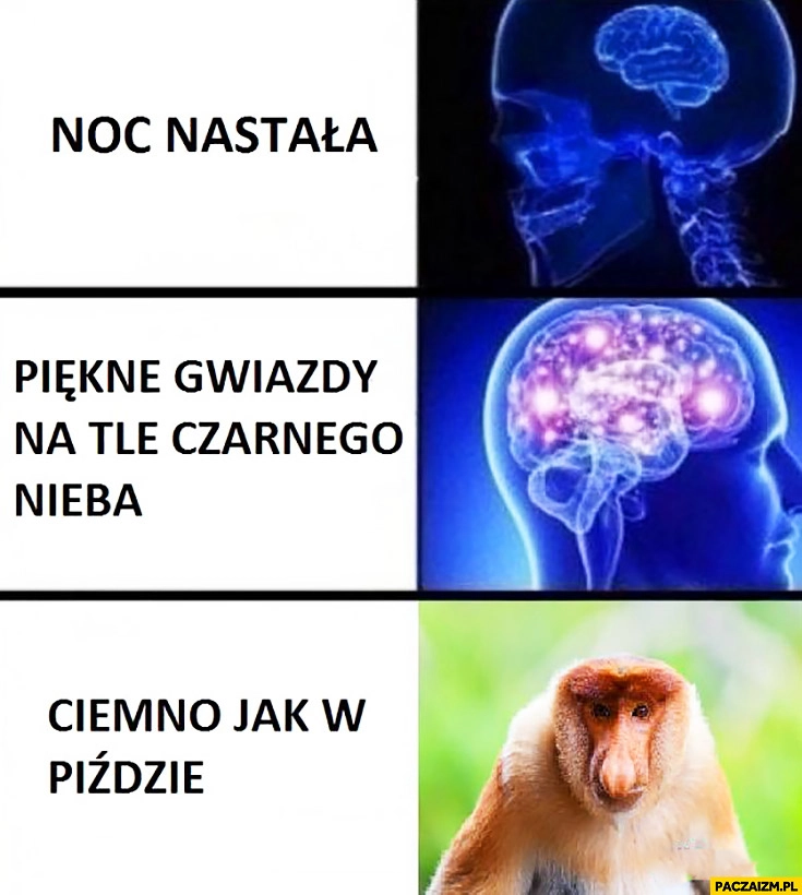 
    Noc nastała, piękne gwiazdy na tle czarnego nieba, ciemno jak w piczy. Typowy Polak nosacz małpa mózg