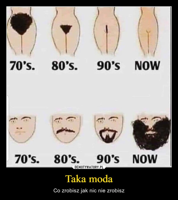 
    Taka moda