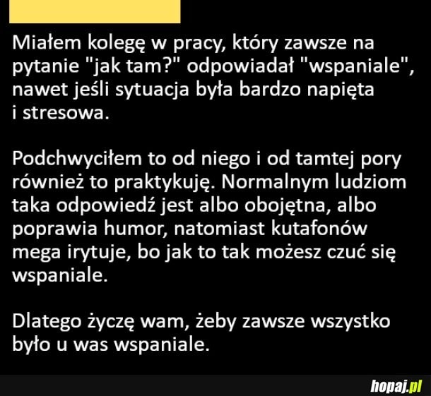 
    Odpowiedź, która dla jednych jest obojętna a dla drugich irytująca