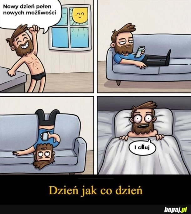 
    Dzień