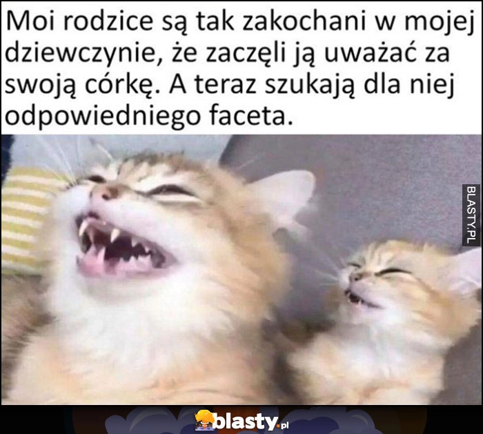 
    Moi rodzice są tak zakochani w mojej dziewczynie, że zaczęli ją uważać za swoją córkę, a teraz szukają dla niej odpowiedniego faceta koty śmieją się