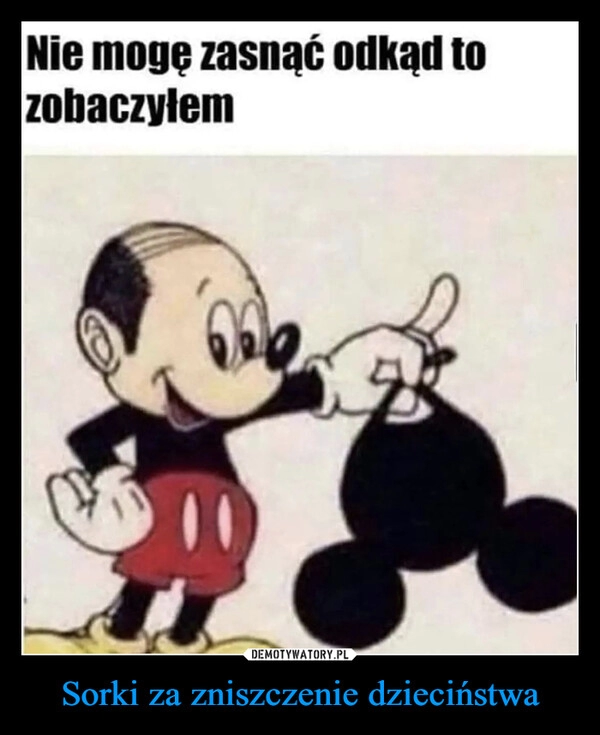 
    
Sorki za zniszczenie dzieciństwa 