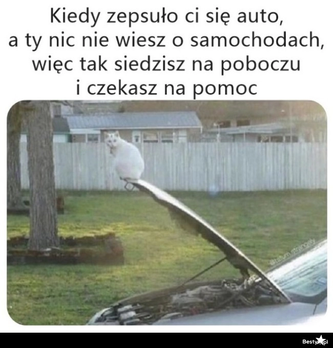 
    Pozostało czekać 