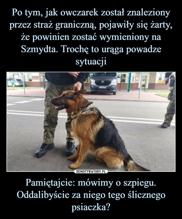 
    Po tym, jak owczarek został znaleziony przez straż graniczną, pojawiły się żarty, że powinien zostać wymieniony na Szmydta. Trochę to urąga powadze sytuacji Pamiętajcie: mówimy o szpiegu. Oddalibyście za niego tego ślicznego psiaczka?