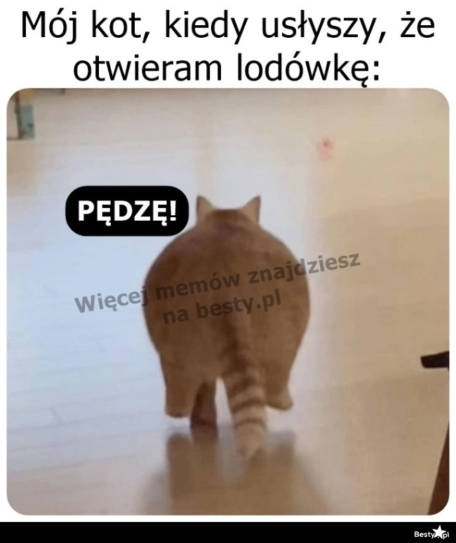 
    Nie przepuści okazji 