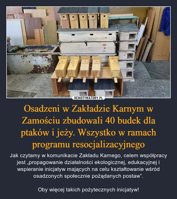 
    Osadzeni w Zakładzie Karnym w Zamościu zbudowali 40 budek dla ptaków i jeży. Wszystko w ramach programu resocjalizacyjnego