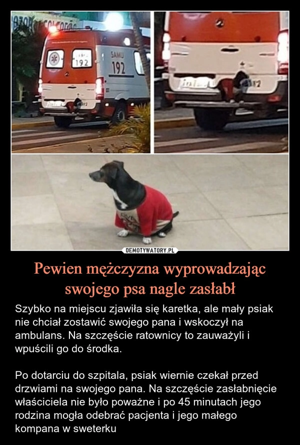 
    Pewien mężczyzna wyprowadzając swojego psa nagle zasłabł