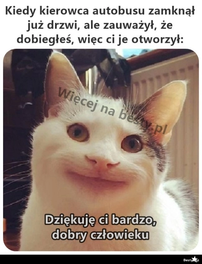 
    Jak miło 