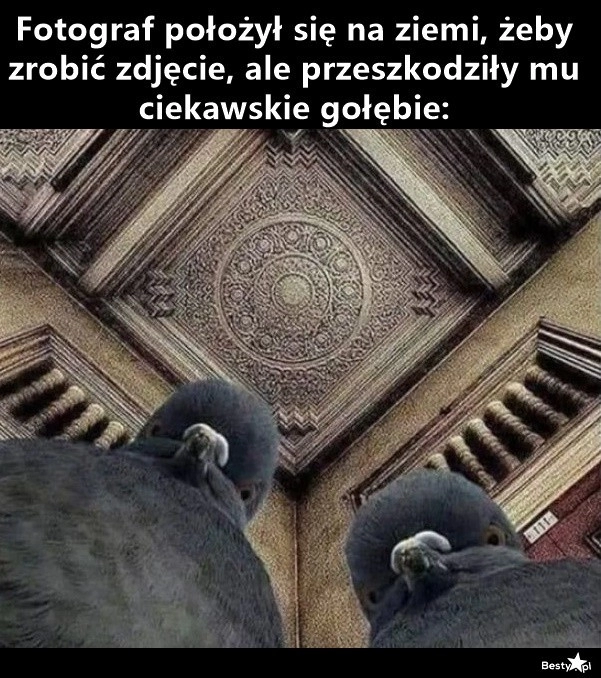 
    Wyszło jeszcze lepiej 