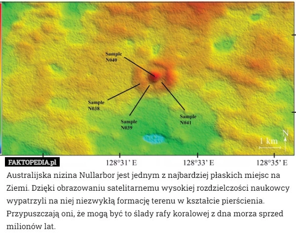 
    Australijska nizina Nullarbor jest jednym z najbardziej płaskich miejsc