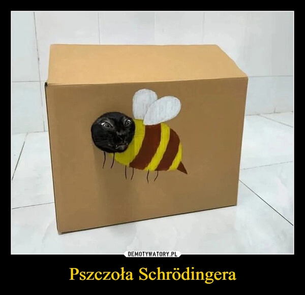 
    Pszczoła Schrödingera