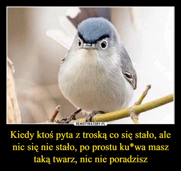 
    Kiedy ktoś pyta z troską co się stało, ale nic się nie stało, po prostu ku*wa masz taką twarz, nic nie poradzisz