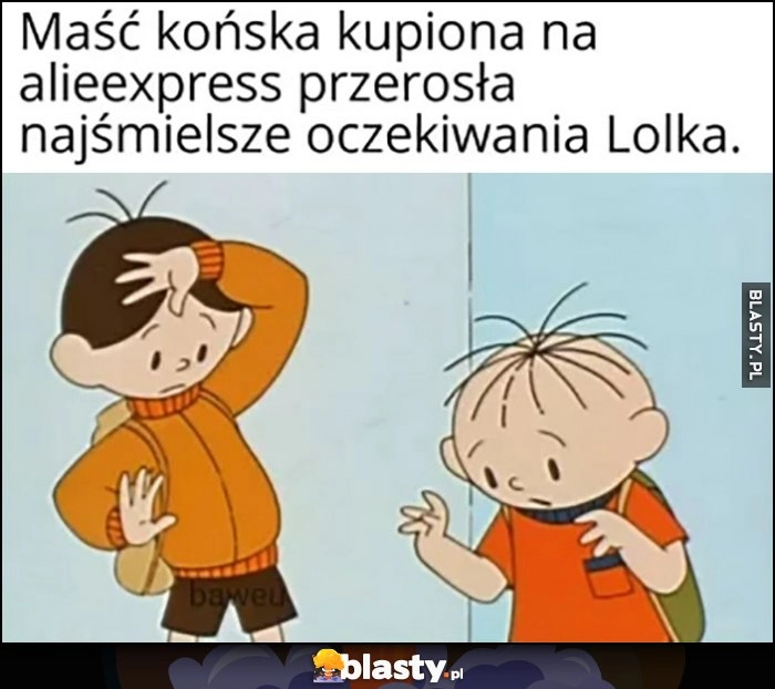 
    Bolek i Lolek. Maść końska kupiona na AliExpress przerosła najśmielsze oczekiwania Lolka