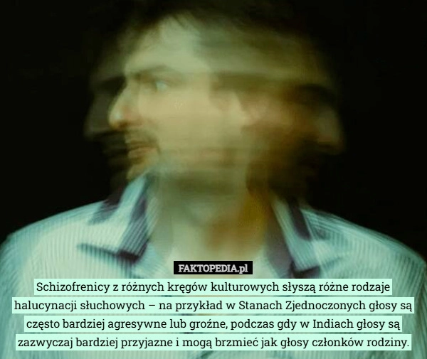 
    Schizofrenicy z różnych kręgów kulturowych słyszą różne rodzaje halucynacji
