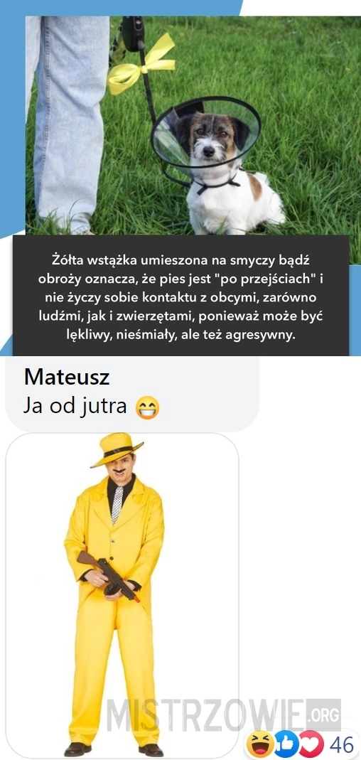 
    Wstażka