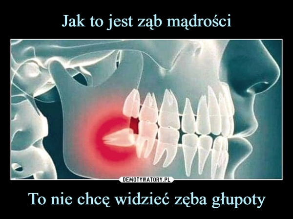 
    Jak to jest ząb mądrości To nie chcę widzieć zęba głupoty 