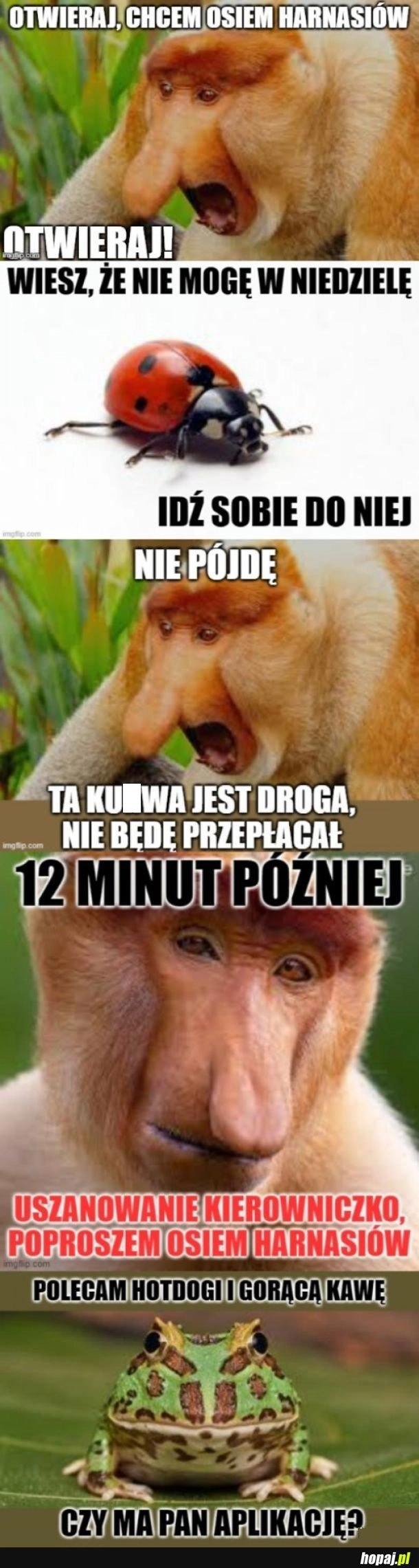 
    Znów uszło płazem