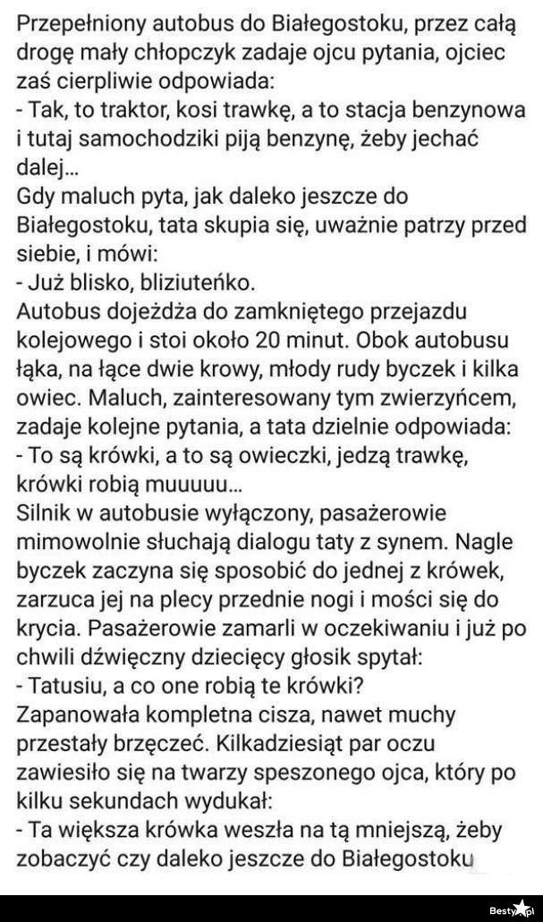 
    Kiedy dziecko zadaje trudne pytania 