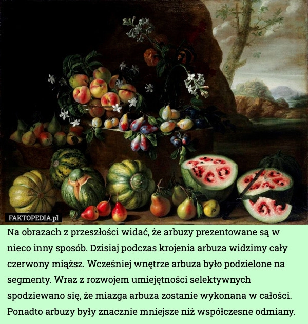 
    Na obrazach z przeszłości widać, że arbuzy prezentowane są w nieco inny