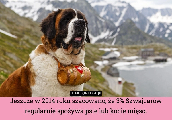 
    Jeszcze w 2014 roku szacowano, że 3% Szwajcarów regularnie spożywa psie