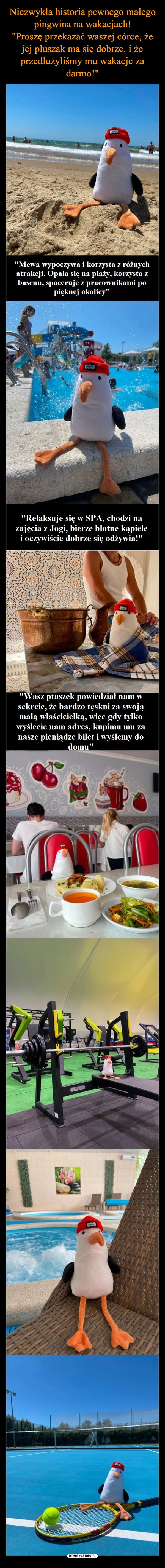 
    Niezwykła historia pewnego małego pingwina na wakacjach!
"Proszę przekazać waszej córce, że jej pluszak ma się dobrze, i że przedłużyliśmy mu wakacje za darmo!"