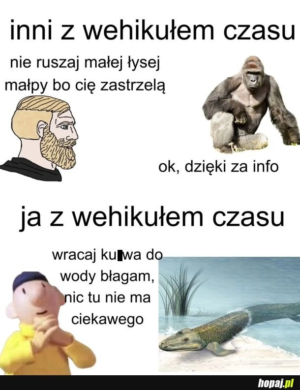 
    Wehikuł czasu