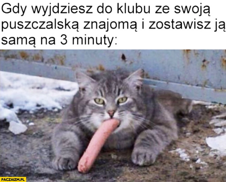 
    Gdy wyjdziesz do klubu ze swoją puszczalską znajomą i zostawisz ją samą na 3 minuty kot z parówką