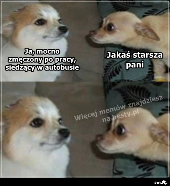 
    Pod presją 