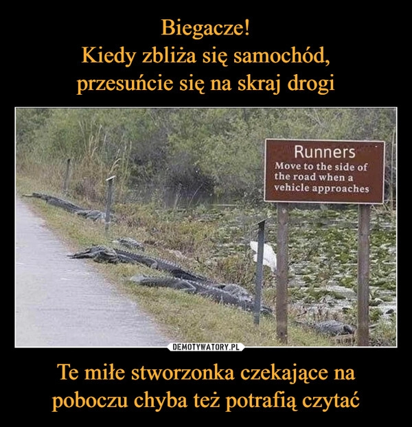 
    
Biegacze!
Kiedy zbliża się samochód,
przesuńcie się na skraj drogi Te miłe stworzonka czekające na poboczu chyba też potrafią czytać 