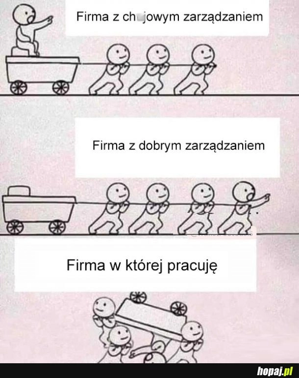 
    Zarządzanie w firmie