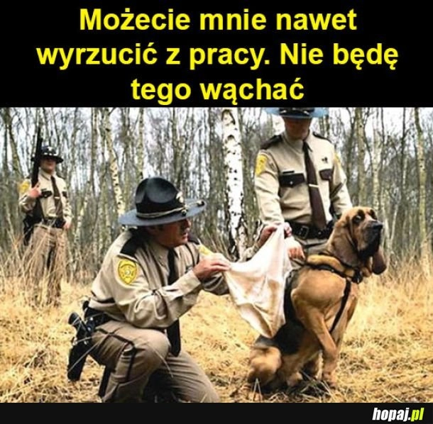 
    Ciężki dzień w pracy